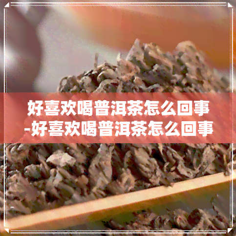 好喜欢喝普洱茶怎么回事-好喜欢喝普洱茶怎么回事啊