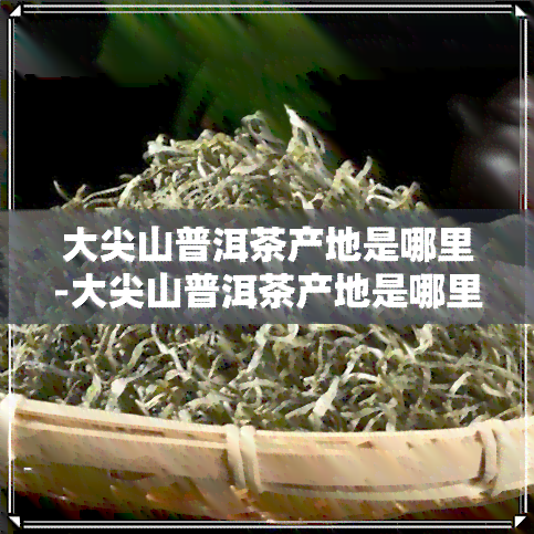 大尖山普洱茶产地是哪里-大尖山普洱茶产地是哪里的