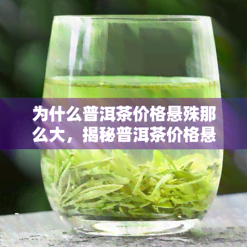 为什么普洱茶价格悬殊那么大，揭秘普洱茶价格悬殊的原因：你所不知道的茶叶背后故事