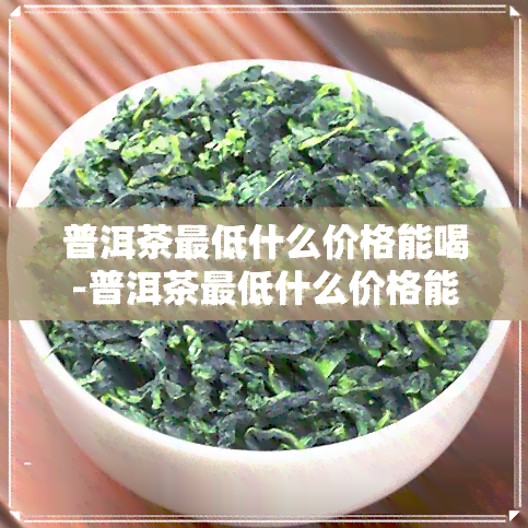 普洱茶更低什么价格能喝-普洱茶更低什么价格能喝