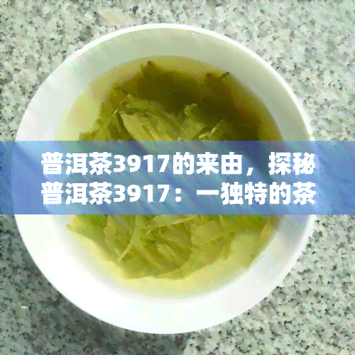 普洱茶3917的来由，探秘普洱茶3917：一独特的茶文化历