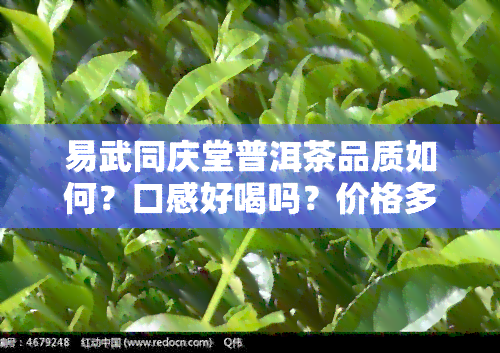 易武同庆堂普洱茶品质如何？口感好喝吗？价格多少？