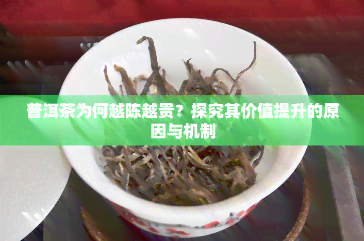 普洱茶为何越陈越贵？探究其价值提升的原因与机制