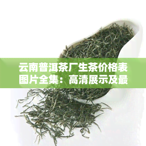 云南普洱茶厂生茶价格表图片全集：高清展示及最新价格信息