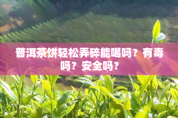 普洱茶饼轻松弄碎能喝吗？有吗？安全吗？