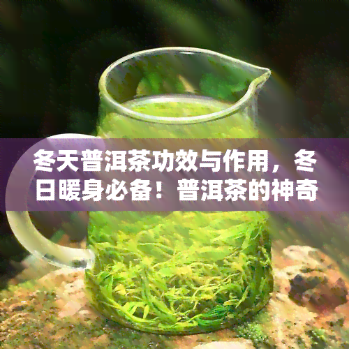 冬天普洱茶功效与作用，冬日暖身必备！普洱茶的神奇功效与作用解析