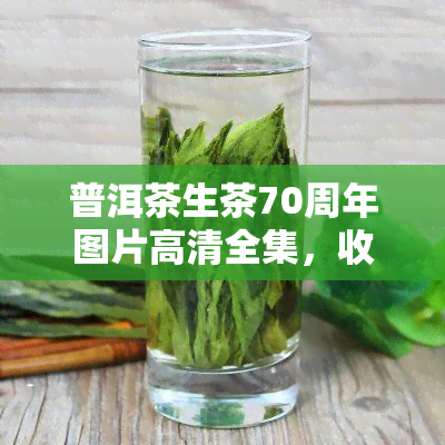 普洱茶生茶70周年图片高清全集，收录2017年价格信息