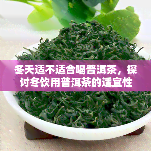 冬天适不适合喝普洱茶，探讨冬饮用普洱茶的适宜性