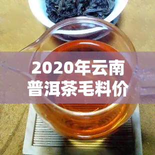 2020年云南普洱茶毛料价钱，揭秘2020年云南普洱茶毛料价格走势，市场分析与前景预测