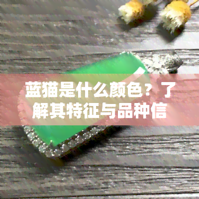 蓝猫是什么颜色？了解其特征与品种信息