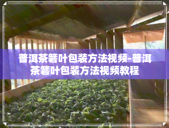 普洱茶箬叶包装方法视频-普洱茶箬叶包装方法视频教程