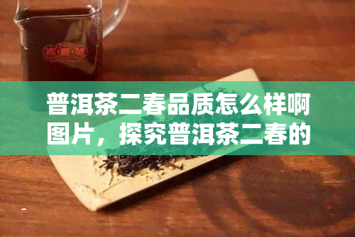 普洱茶二春品质怎么样啊图片，探究普洱茶二春的品质：从图片中解读美味的秘密