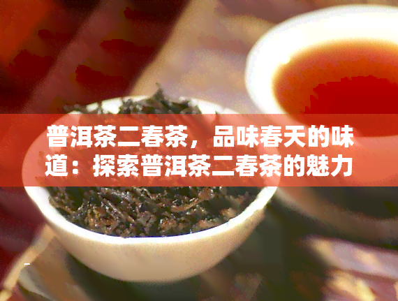 普洱茶二春茶，品味春天的味道：探索普洱茶二春茶的魅力