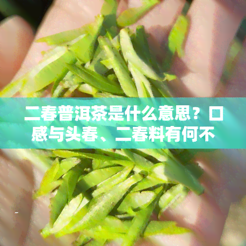 二春普洱茶是什么意思？口感与头春、二春料有何不同？