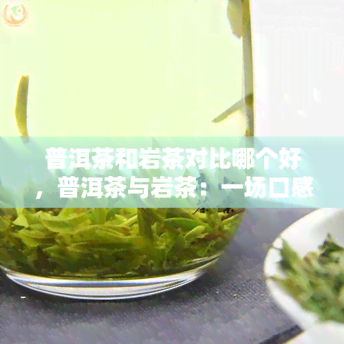 普洱茶和岩茶对比哪个好，普洱茶与岩茶：一场口感与香气的较量