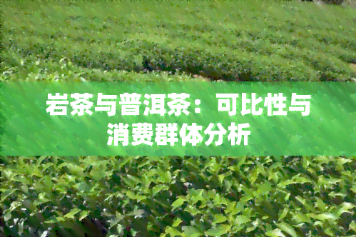 岩茶与普洱茶：可比性与消费群体分析