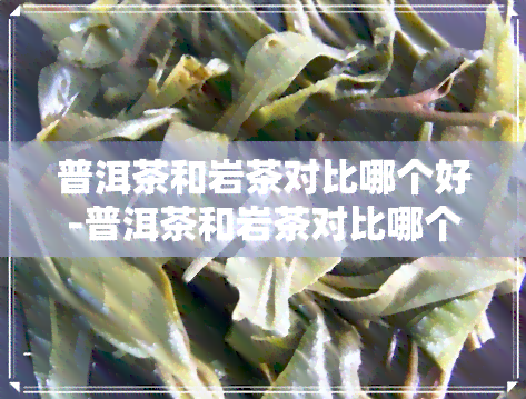 普洱茶和岩茶对比哪个好-普洱茶和岩茶对比哪个好喝