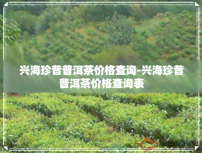 兴海珍昔普洱茶价格查询-兴海珍昔普洱茶价格查询表