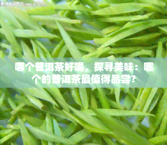 哪个普洱茶好喝，探寻美味：哪个的普洱茶最值得品尝？