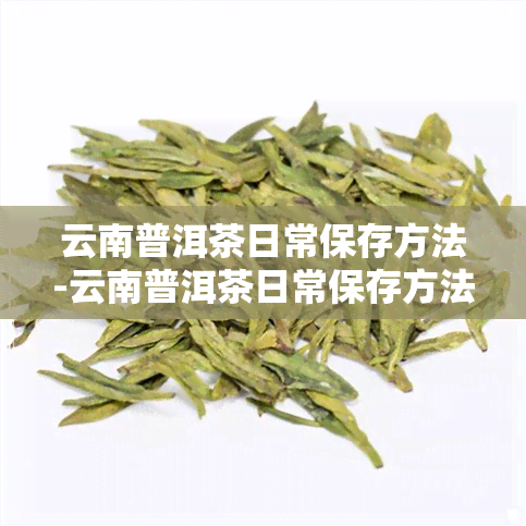 云南普洱茶日常保存方法-云南普洱茶日常保存方法有哪些