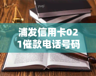 浦发信用卡021催款电话号码及相关信息