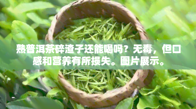 熟普洱茶碎渣子还能喝吗？无，但口感和营养有所损失。图片展示。