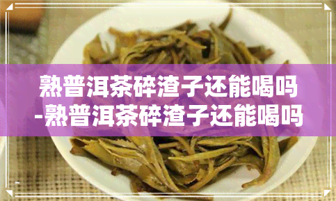 熟普洱茶碎渣子还能喝吗-熟普洱茶碎渣子还能喝吗有吗