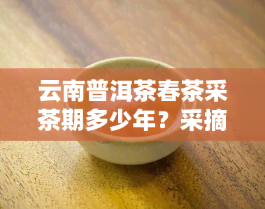 云南普洱茶春茶采茶期多少年？采摘时间是什么时候？