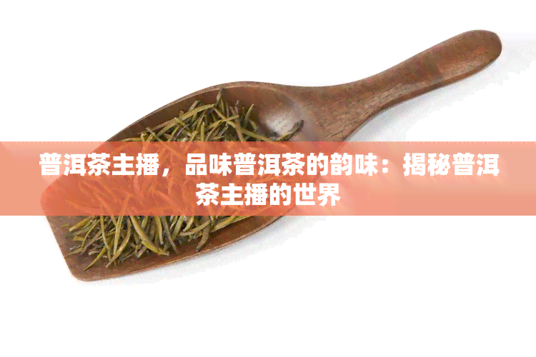 普洱茶主播，品味普洱茶的韵味：揭秘普洱茶主播的世界