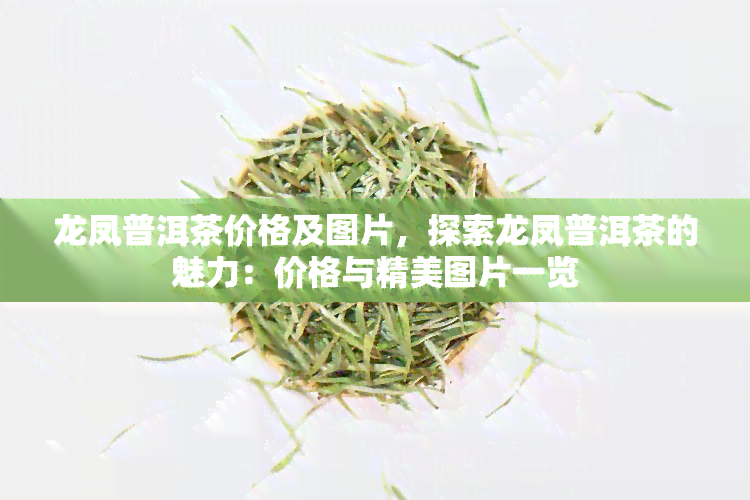 龙凤普洱茶价格及图片，探索龙凤普洱茶的魅力：价格与精美图片一览