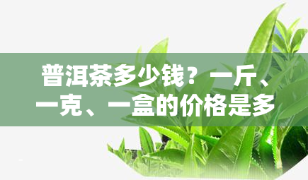 普洱茶多少钱？一斤、一克、一盒的价格是多少？