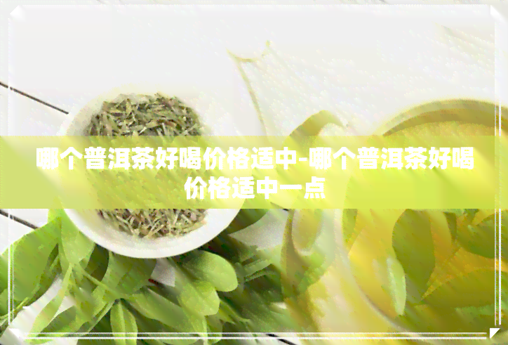 哪个普洱茶好喝价格适中-哪个普洱茶好喝价格适中一点