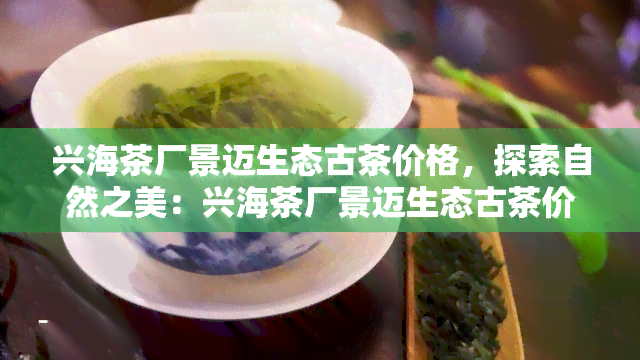 兴海茶厂景迈生态古茶价格，探索自然之美：兴海茶厂景迈生态古茶价格一览