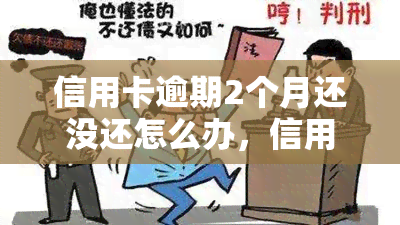 信用卡逾期2个月还没还怎么办，信用卡逾期2个月未还款，如何解决？