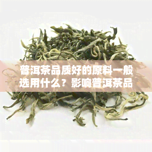 普洱茶品质好的原料一般选用什么？影响普洱茶品质的关键因素是什么？