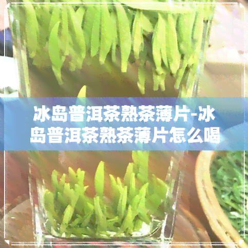 冰岛普洱茶熟茶薄片-冰岛普洱茶熟茶薄片怎么喝