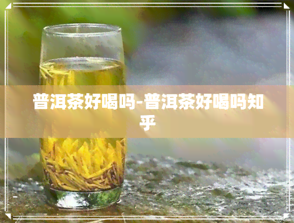 普洱茶好喝吗-普洱茶好喝吗知乎