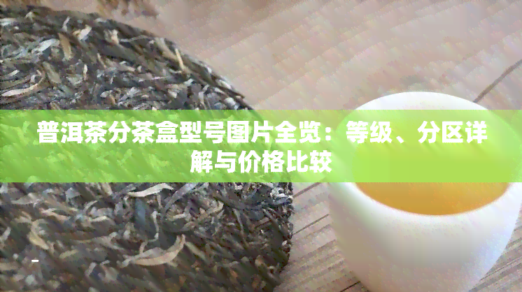 普洱茶分茶盒型号图片全览：等级、分区详解与价格比较