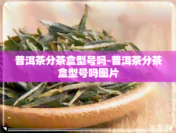 普洱茶分茶盒型号吗-普洱茶分茶盒型号吗图片