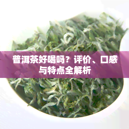 普洱茶好喝吗？评价、口感与特点全解析