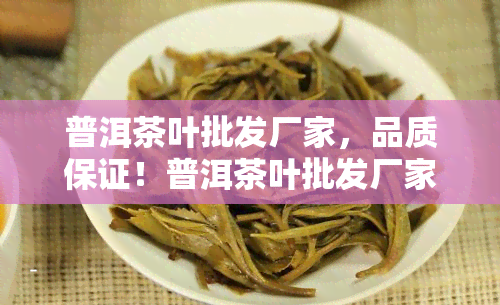 普洱茶叶批发厂家，品质保证！普洱茶叶批发厂家直销，优价格等你来选购！