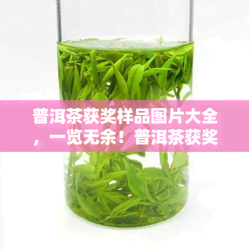 普洱茶获奖样品图片大全，一览无余！普洱茶获奖样品图片大全，让您尽享视觉宴！