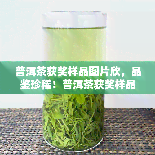 普洱茶获奖样品图片欣，品鉴珍稀！普洱茶获奖样品图片大