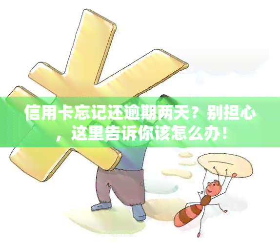 信用卡忘记还逾期两天？别担心，这里告诉你该怎么办！