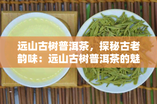 远山古树普洱茶，探秘古老韵味：远山古树普洱茶的魅力与故事