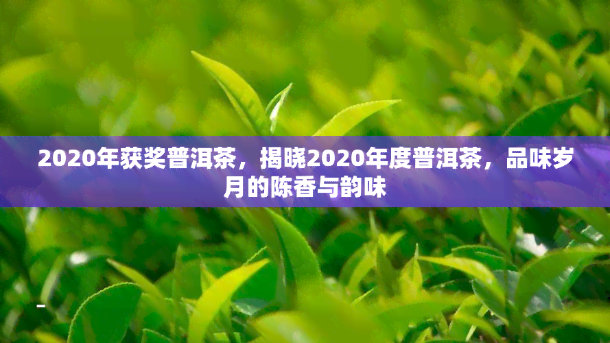 2020年获奖普洱茶，揭晓2020年度普洱茶，品味岁月的陈香与韵味