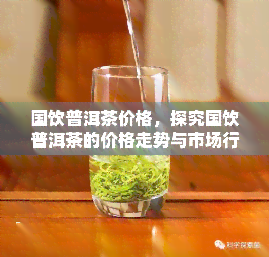 国饮普洱茶价格，探究国饮普洱茶的价格走势与市场行情