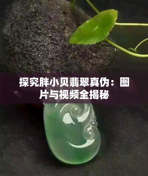 探究胖小贝翡翠真伪：图片与视频全揭秘