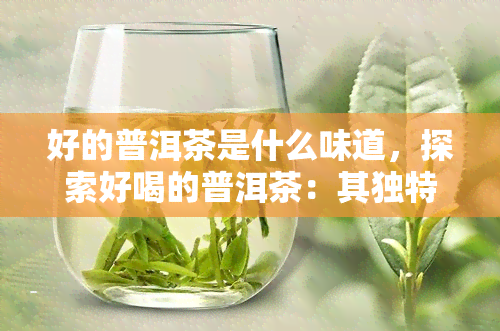 好的普洱茶是什么味道，探索好喝的普洱茶：其独特的口感与滋味解析