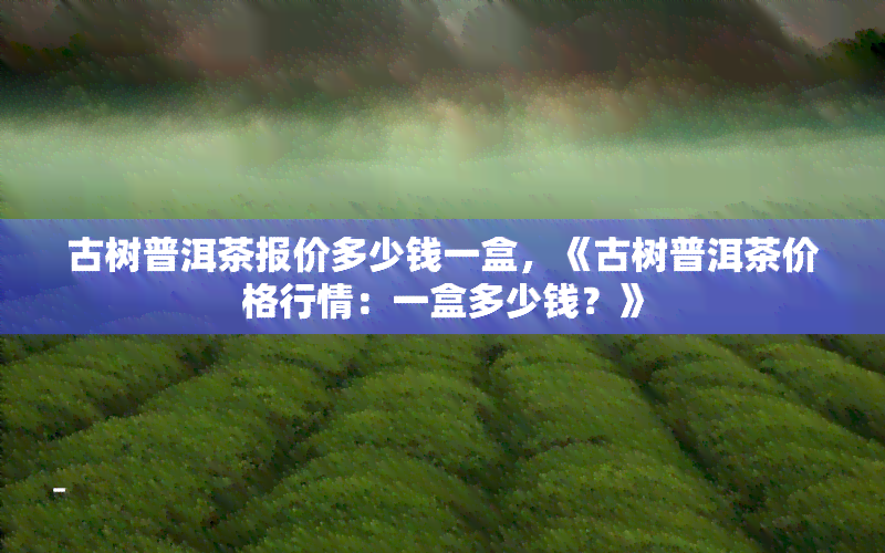 古树普洱茶报价多少钱一盒，《古树普洱茶价格行情：一盒多少钱？》